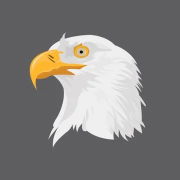 Eagle head 2 Stock Illustration