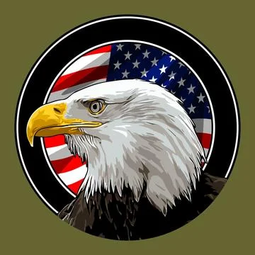 Eagle head on american flag Stock Illustration