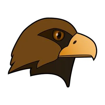 Eagle. The head of a bird of prey. Stock Illustration