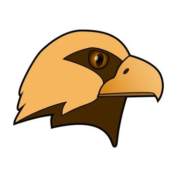 Eagle. The head of a bird of prey. Stock Illustration