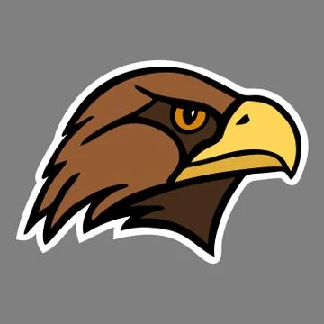 Eagle. The head of a bird of prey. Stock Illustration