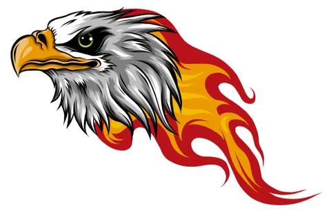 Eagle Head with Flames vector illustration design Stock-Illustration