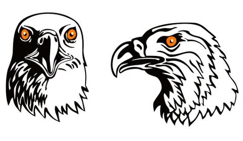 Eagle head Stock Illustration