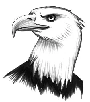 Eagle head Illustrazione stock
