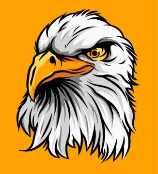 Eagle Head Illustration Vector Illustrazione stock