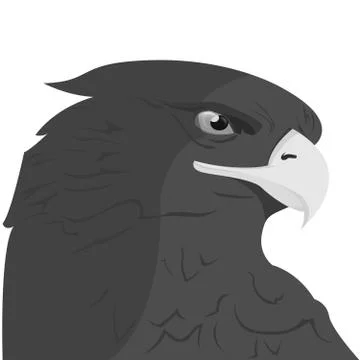 Eagle head logo Template Stock Illustration