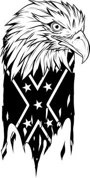 Eagle head in outline style. vector illustration Stock Illustration