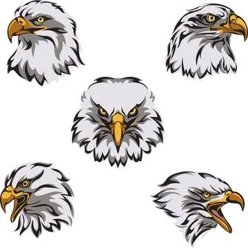 Eagle head, portrait, color Stock Illustration