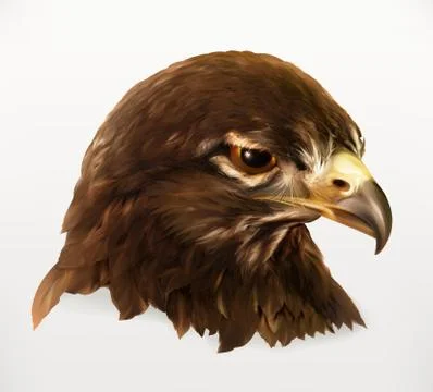 Eagle head, realistic vector illustration Stock Illustration