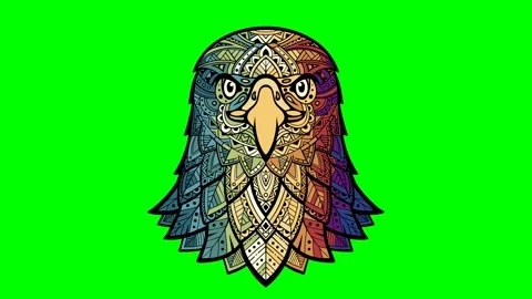 Eagle head zentangle stylized, freehand pencil, hand drawn, pattern. Zen art Stock Footage 327072479