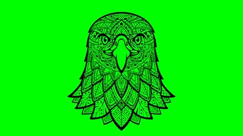 Eagle head zentangle stylized, freehand pencil, ink, hand drawn, zen pattern. Stock Footage 327653902