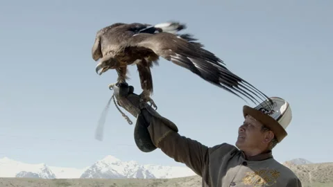 An eagle hunter holds a golden eagle in Kyrgyzstan Stock Footage 199475659
