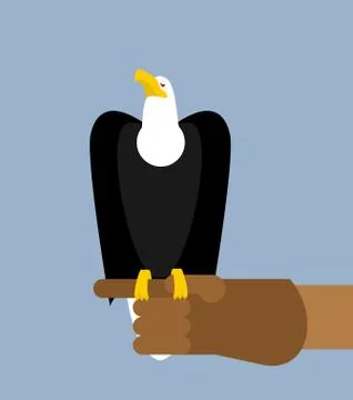 Eagle hunting. Bald eagle on his arm. Trained wild bird of prey. Hawk sitting Stock Illustration