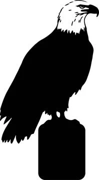 Eagle icon isolated on white background Stock Illustration