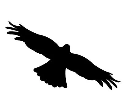 Eagle icon on white background Stock Illustration