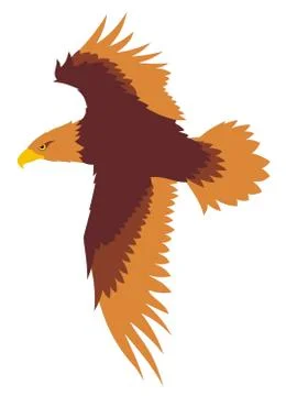 Eagle Stock Illustration