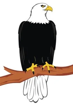 Eagle Stock Illustration