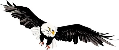 Eagle Illustrazione stock