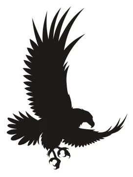 Eagle Stock Illustration