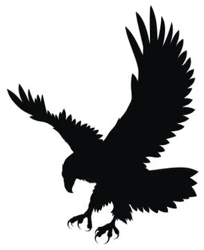Eagle Stock Illustration