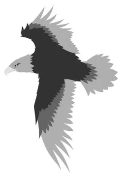 Eagle Stock Illustration