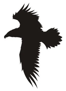 Eagle Stock Illustration