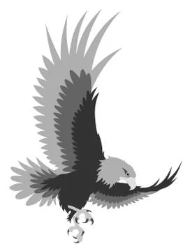 Eagle Stock Illustration