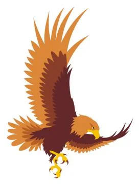 Eagle Stock Illustration