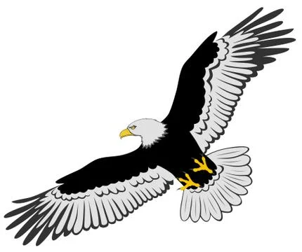 Eagle Stock Illustration