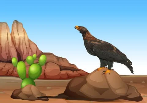An eagle Stock Illustration