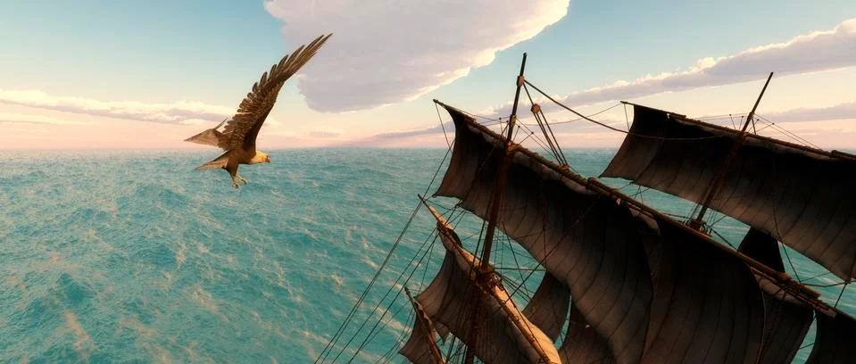 Eagle Stock Illustration