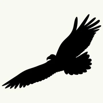 Eagle Stock Illustration