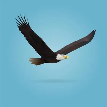 Eagle Stock Illustration