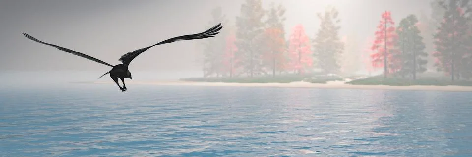 Eagle Stock Illustration