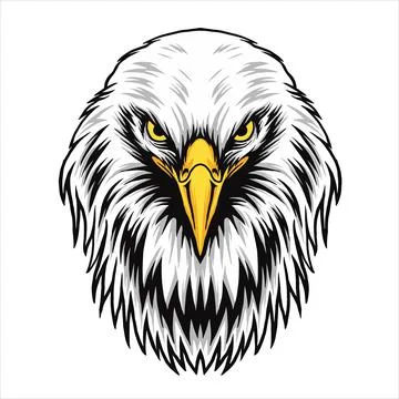 Eagle Stock Illustration