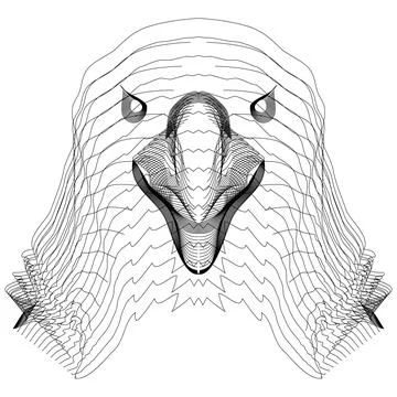 Eagle Stock Illustration