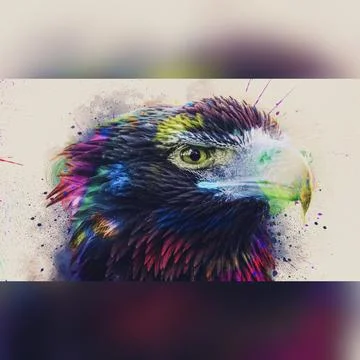 Eagle Stock Illustration