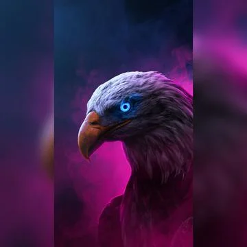 Eagle Stock Illustration