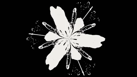 Eagle Kaleidoscope Video stock 151124468