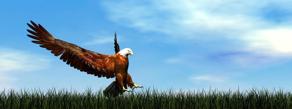 Eagle landing - 3D render Stock Illustration
