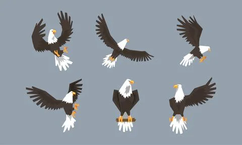 Eagle as Large Bird of Prey with Beak and Broad Black Wings in Different Pose Illustrazione stock