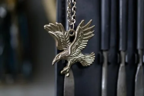 Eagle medallion on chain Stock Photos