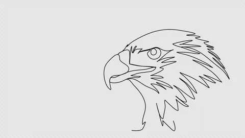 Eagle. One line drawing animation. Video clip with alpha channel. Stock Footage 271740196