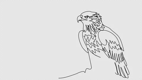 Eagle. One line drawing animation. Video clip with alpha channel. Video stock 271740335