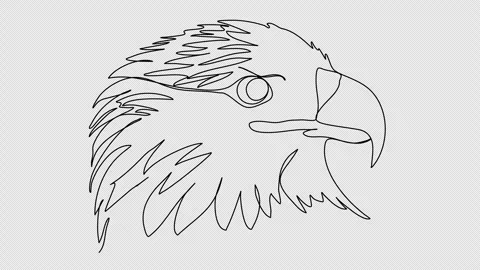 Eagle. One line drawing animation. Video clip with alpha channel. Stock Footage 271740463