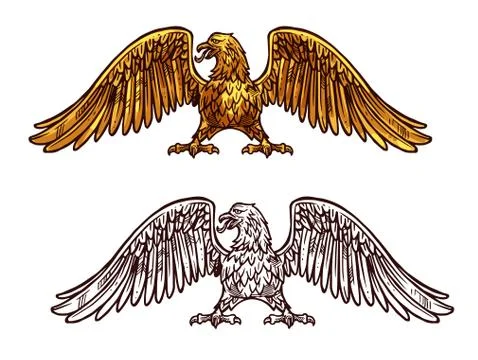 Eagle or hawk golden icon, vector sketch Stock Illustration