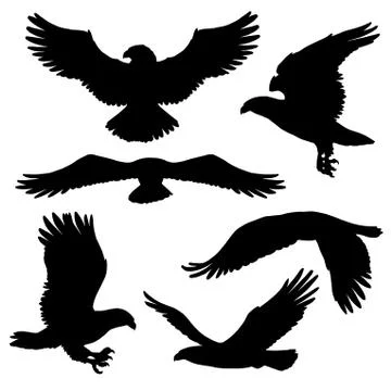 Eagle or hawk silhouettes with broad wings Stock Illustration