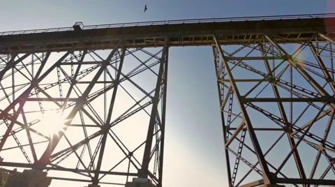 Eagle Over Bridge Santa Barbara Coast Stock Footage 42403235
