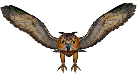 Eagle owl - 3D render Stock Illustration