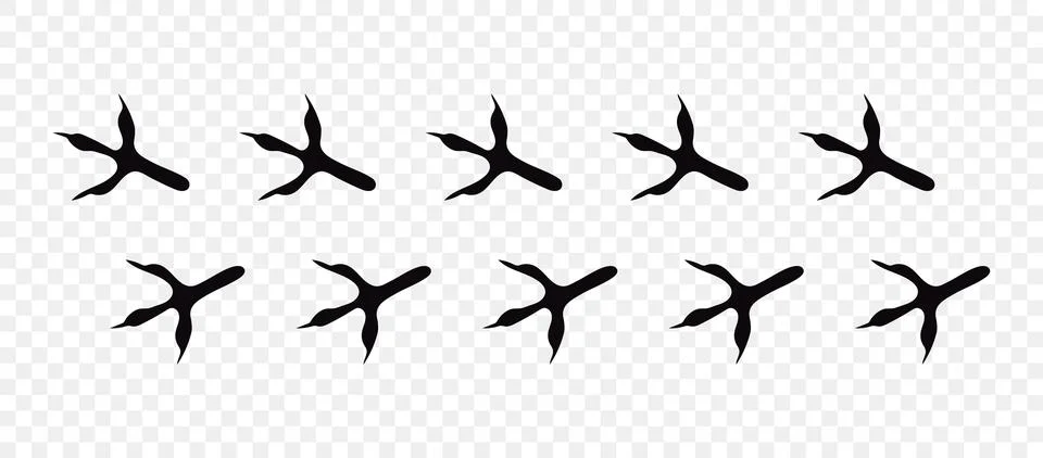 Eagle paws Stock Illustration